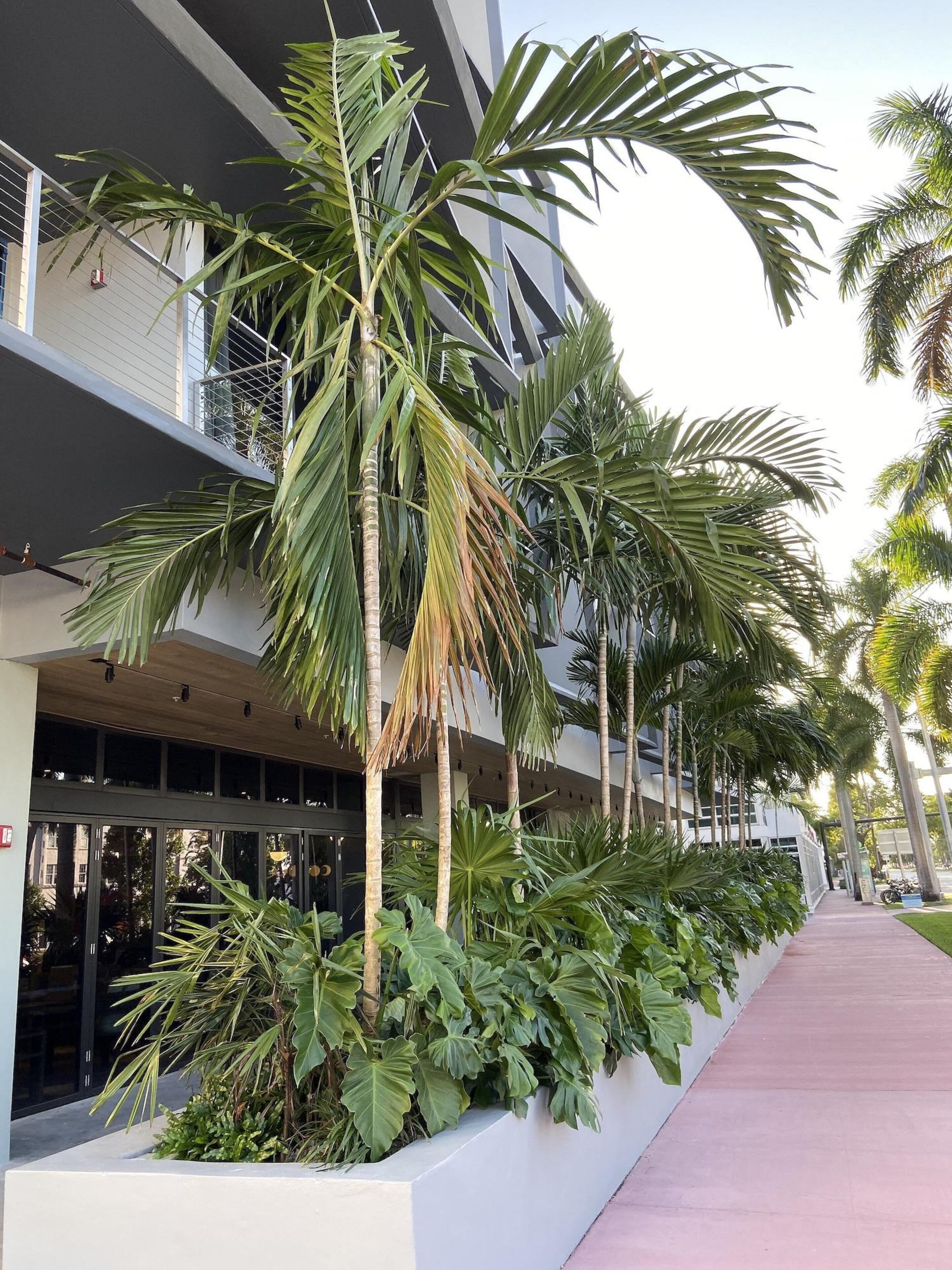 Urbanica Euclid Hotel Miami Beach Luaran gambar